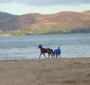 Horse, person and cart on a beach